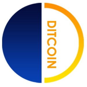 Digital Insurance Token Digital Insurance Token