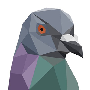 Pigeoncoin Pigeoncoin