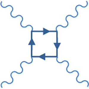 Photon Photon