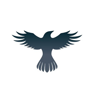 Raven Protocol Raven Protocol