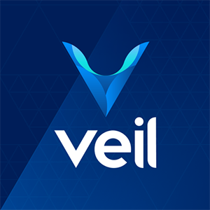 Veil Veil