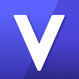 Voyager Token Voyager Token